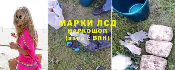 дмт Новозыбков