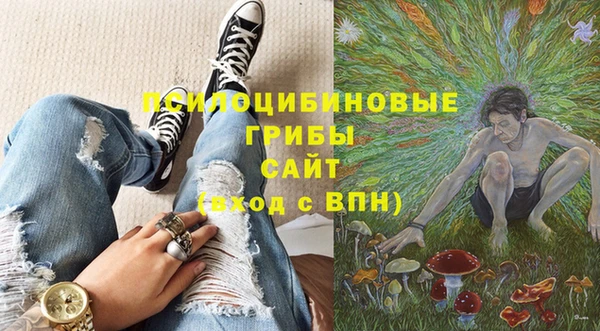 круглые Новодвинск