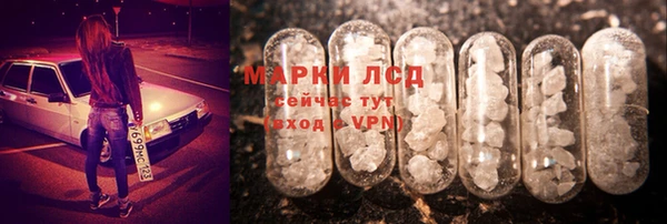 дмт Новозыбков